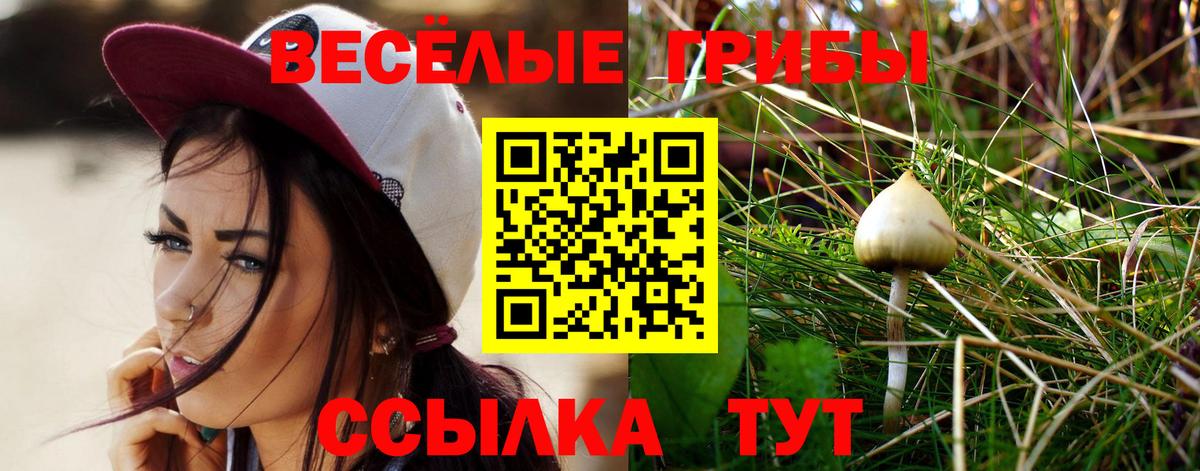Псилоцибиновые грибы Cubensis Донецк